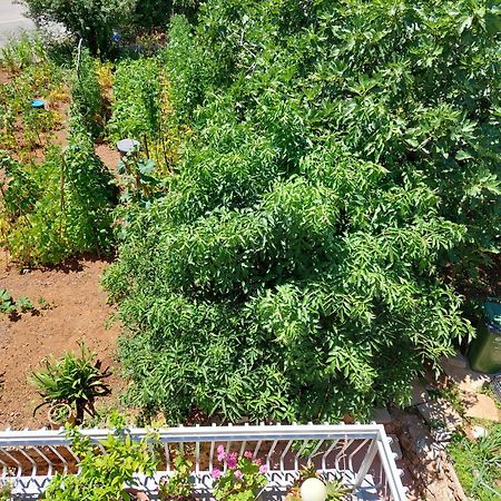 Apartmani Toni Vodice Exterior photo