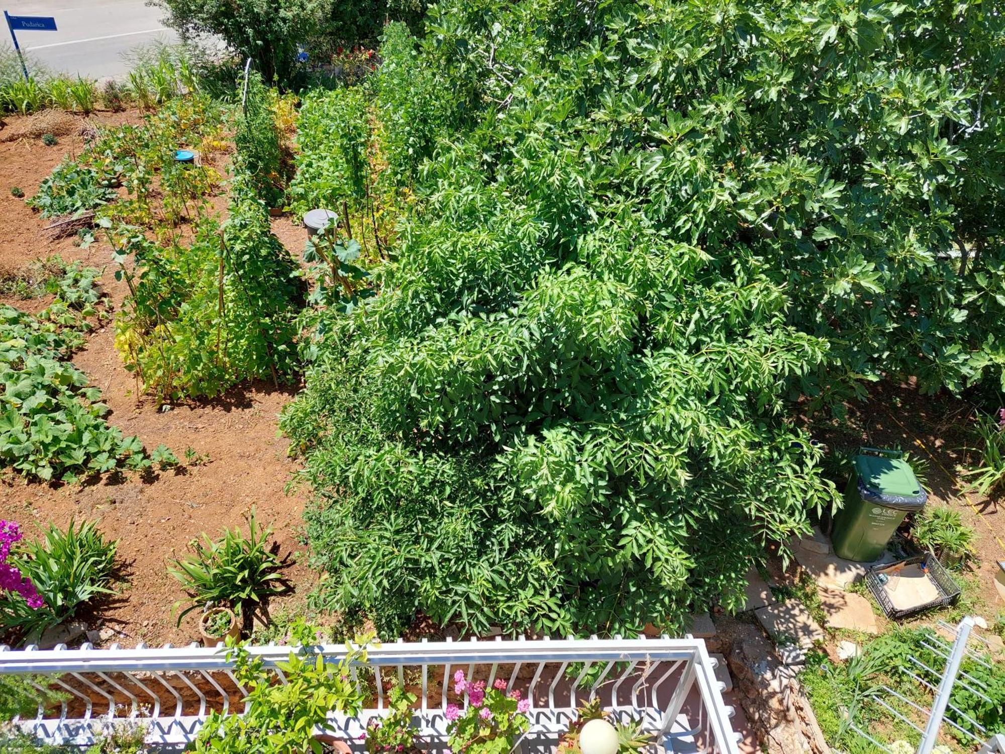Apartmani Toni Vodice Exterior photo